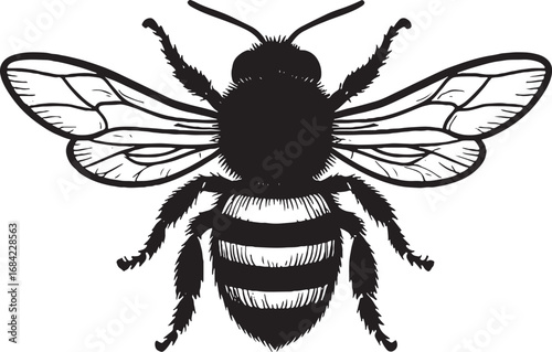Detailed illustration of a honeybee in black and white symbolizing nature pollination and honey production for ecological and environmental themes