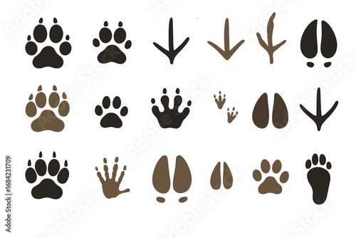 Vector set of animal tracks. Collection of paw prints from dog, cat, bear, wolf. Footprints of deer, bird, reptile. Wildlife trail silhouette. Forest animal step icon.