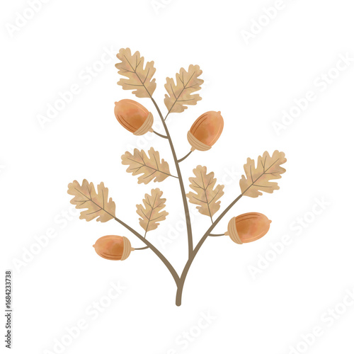 Watercolor Acorn Branch with Leaves – Brown