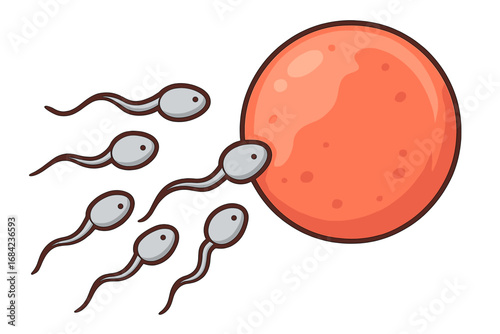 Sperm and egg cell. Fertilization, insemination and reproduction concept. Spermatozoon icon. Ovum, zygote icon. Human reproductive system. Biology. Vector cartoon illustration.