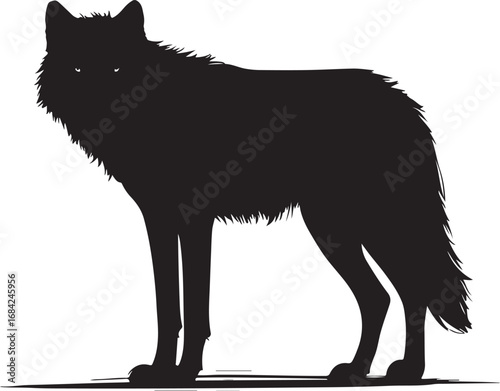 Mysterious wolf silhouette standing majestically dark predator symbol of the wild nature with piercing eyes and dense fur vector illustration