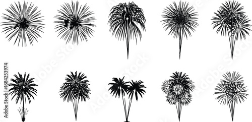Set of tropical palm tree vector silhouettes in various styles, perfect for landscape design, nature illustrations, and botanical decor projects.
