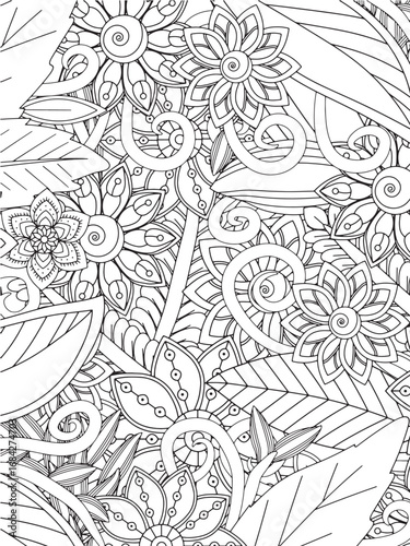 Doodle botanical vector coloring pages for adults and kids and kdp 