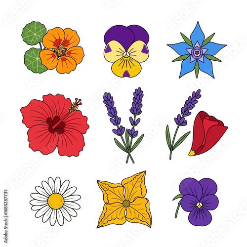 Edible flower set with botanical illustration.