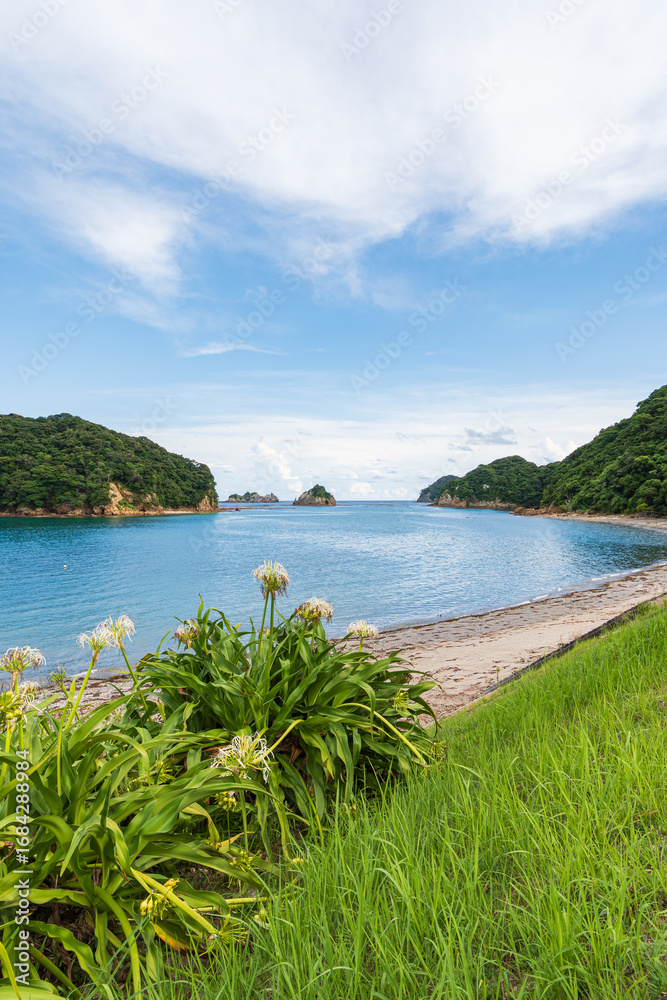 Obraz premium 南国の海と小島を望む青空と海岸の風景（宮崎県日南市）