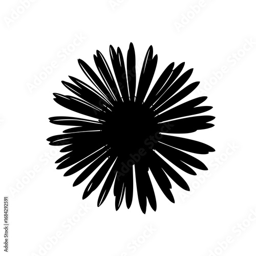 Black daisy silhouette isolated on white background