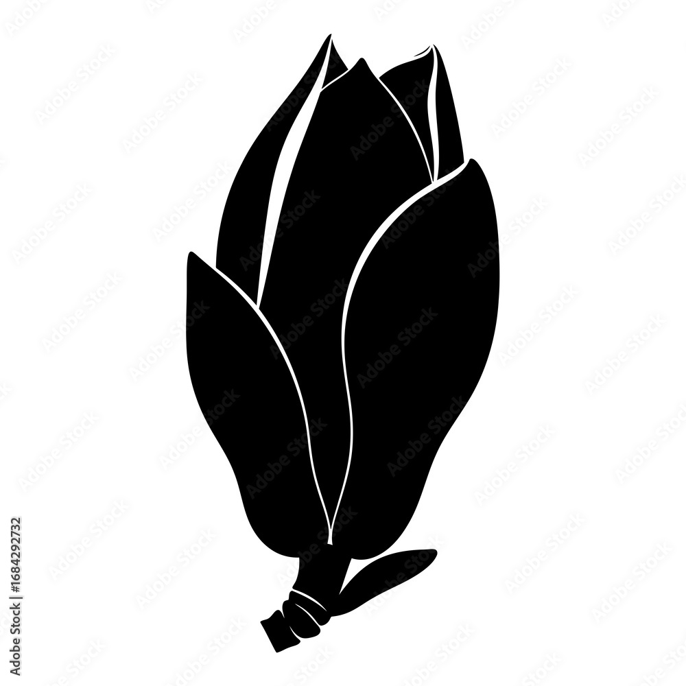 Naklejka premium Magnolia bud silhouette isolated on white background