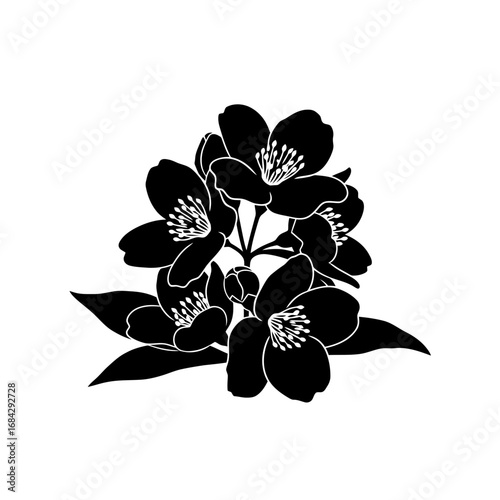 Black jasmine flowers silhouette isolated on white background