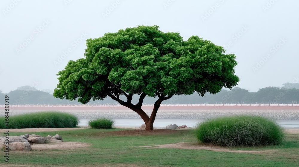 Fototapeta premium Solitary Tree by the Water: A majestic, solitary tree, its vibrant green foliage in striking contrast against the calm water and a serene sky, evoking peace and tranquility.