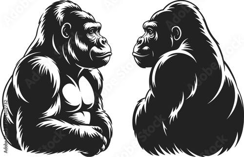 Detailed vector illustration of two gorillas facing each other, black and white art, powerful wildlife, jungle animals, primates, nature, strength, animal behavior, majestic, wild