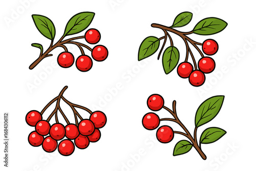 Set of red berry branches vector illustration. Cartoon icons of holly, cranberry, rowan for Christmas decoration or food design. Natural organic fresh fruit with green leaves.