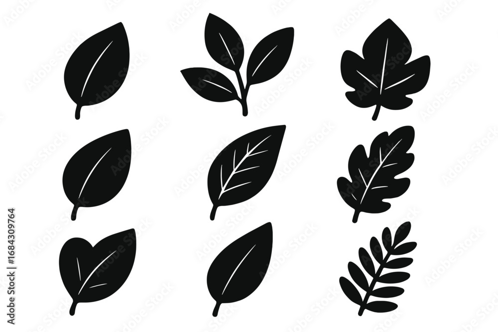 Fototapeta premium Collection of black leaf silhouettes. A versatile vector icon set for nature, ecology, and botanical design. Simple flat plant and foliage illustration for organic or eco projects.