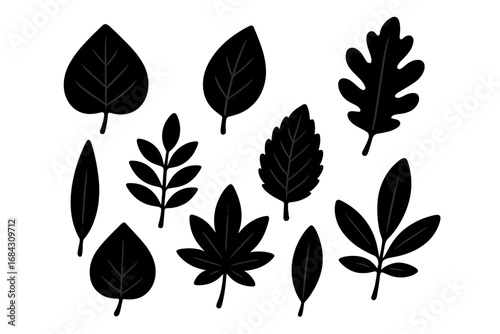 Set of black leaf silhouettes. Botanical vector icon collection of various plant and tree foliage shapes. Natural, organic, eco design elements for forest or garden themes.