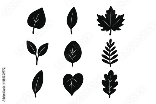 Leaf silhouette glyph icon set for nature, botanical design. Vector collection of plant leaves like maple, oak. Organic, eco, and bio symbols for ecology concepts. Simple shapes.