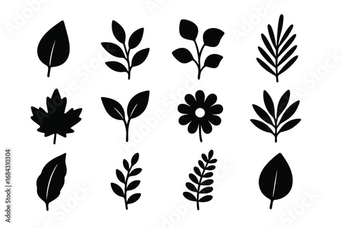 Nature botanical silhouette icon set with leaf and plant shapes. Vector collection of floral elements and foliage. Black simple abstract graphics for organic, eco, or bio concepts.