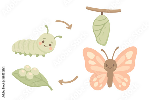 Cute butterfly life cycle vector illustration set. Kawaii cartoon insect metamorphosis process from egg to caterpillar, pupa, and butterfly. Educational pastel nature growth concept.