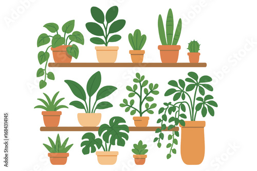 Indoor plants on shelves vector set. Houseplant cartoon collection in pots for home decor. Greenery, monstera, cactus, snake plant. Urban jungle interior illustration.