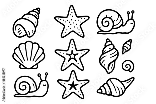 Marine life illustrations featuring seashells, starfish, and snails in simple black and white line art style for decoration and design, cartoon vector set with transparent background