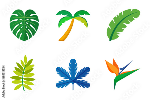 Tropical leaf vector illustrations, monstera palm banana bird of paradise foliage, exotic jungle greenery, botanical flat icons for summer designs