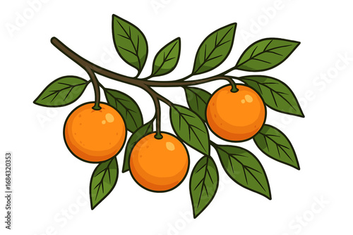 Orange branch with fresh fruits and green leaves. Vector cartoon illustration on a transparent background. Concept for citrus, juice, healthy food, organic farming, vitamin C.