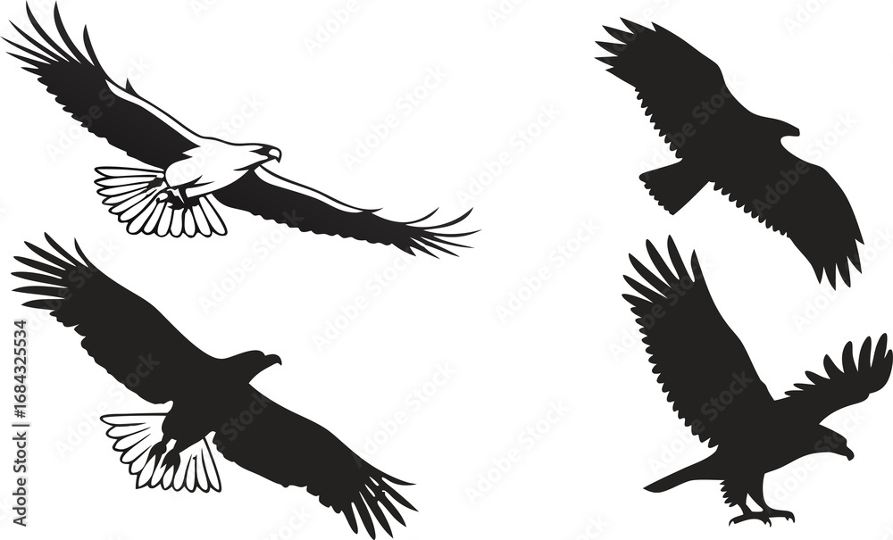 Obraz premium eagle vector set
