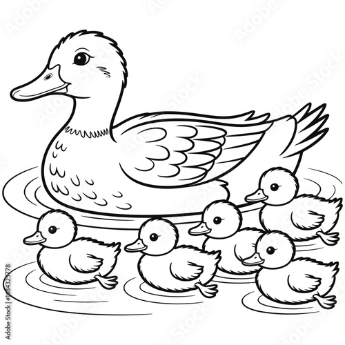 duck and ducklings