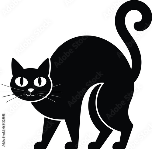 Black cat with white eyes and whiskers animal feline