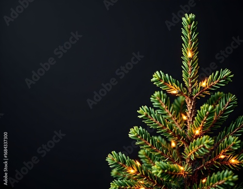 Elegant Christmas Tree with Festive Lighting