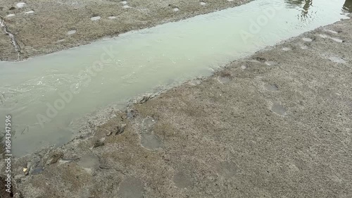 water flow through on muddy in wetlands