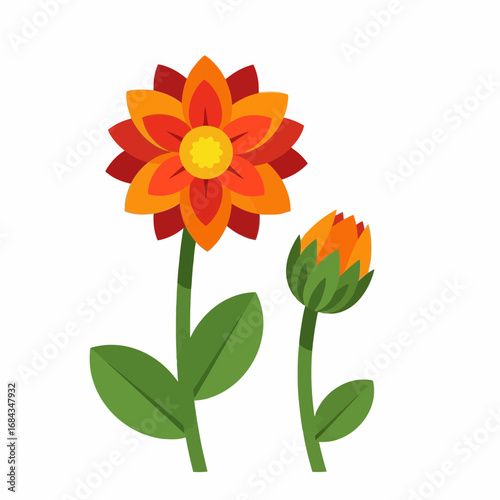 Vector art of two stylized paper flowers, one fully bloomed with orange and red petals and a yellow center, and one unopened bud, isolated on a