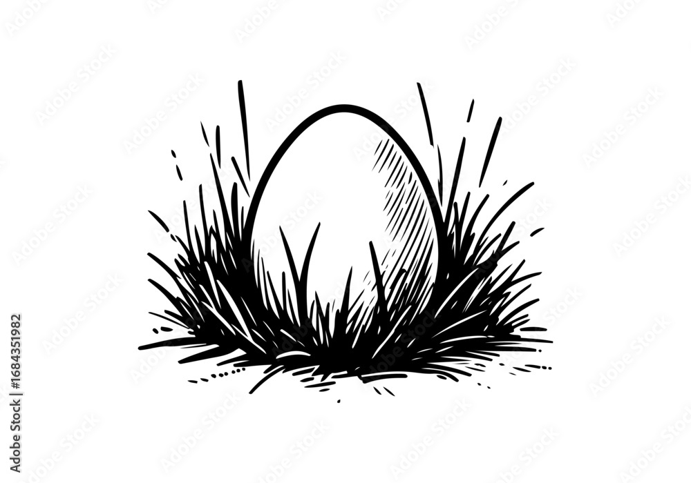 Obraz premium Egg hand drawn sketch vector illustration
