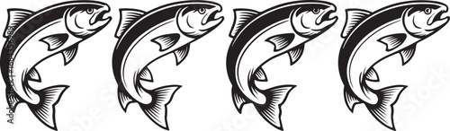 Four leaping salmon illustration