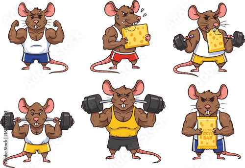 Funny cartoon muscular rat lifting weights and eating cheese, fitness mouse gym workout character, rodent exercise illustration for design.