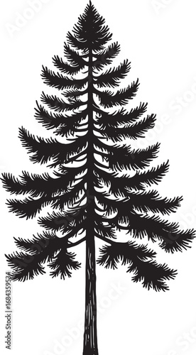 Elegant Pine Tree Silhouette for Nature Lovers and Graphic Designers Forest Icon Isolated