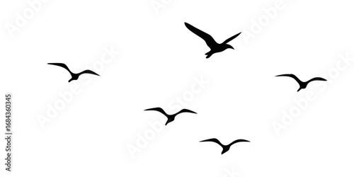 Silhouettes of birds flying against a black background