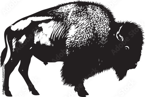 Majestic Bison Silhouette Illustration Wildlife Art Print Black and White Drawing for Conservation and Nature Themes