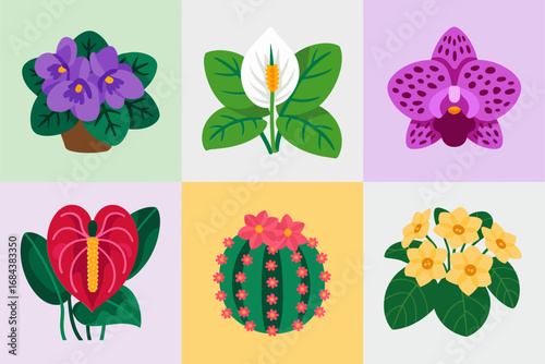 Tropical houseplants and blooming flowers, exotic foliage vector set, decorative botanical design, natural indoor garden inspiration, colorful leaves and blossoms