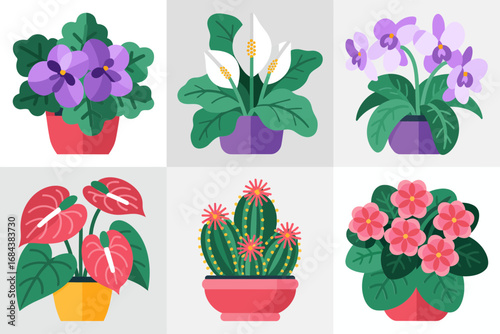 Blooming indoor flowers and cactus vector set, tropical houseplants illustration, decorative foliage design, colorful botanical inspiration, natural greenery collection, floral art