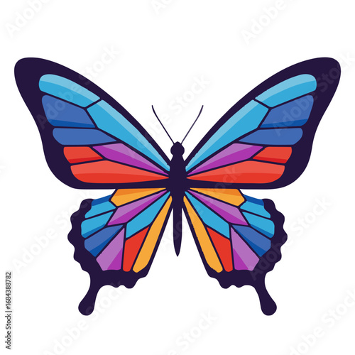 butterfly vector illustration.