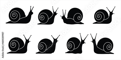 Eight black snail silhouettes with detailed shells on white background mollusk gastropod