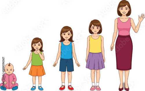 Female growth stages from baby to adult woman, cartoon illustration showing life cycle development, childhood to adulthood character design, education concept.