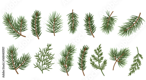 Pine Tree Branch Illustrations Evergreen Foliage Pack Collection of pine tree branch illustrations symbolizing winter, holidays, and natural greenery