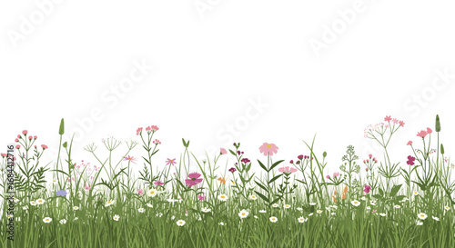 Beautiful wildflower meadow illustration with lush green grass and vibrant colorful blossoms