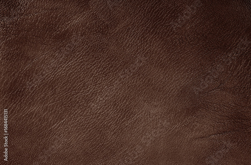 Wallpaper Mural Dark brown leather texture background with seamless pattern and high resolution. Torontodigital.ca
