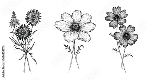 a variety of flowers drawn in black and white