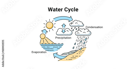 Vector art of water cycle diagram illustrating the natural process