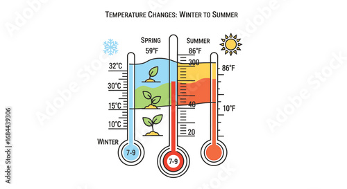 Vector art of illustrative diagram showing temperature changes from winter to summer, with thermometers indicating varying degrees