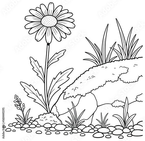 Daisy flower vector illustration with a single tall bloom growing beside rocks, grass, and pebbles, creating a natural outdoor botanical decorative composition