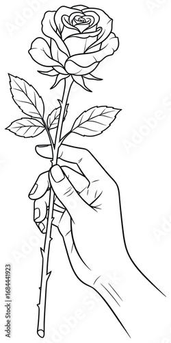 Rose flower in hand vector illustration with detailed petals, leaves, thorns and realistic gesture design perfect for floral coloring pages, botanical artwork and romantic decorative creative projects