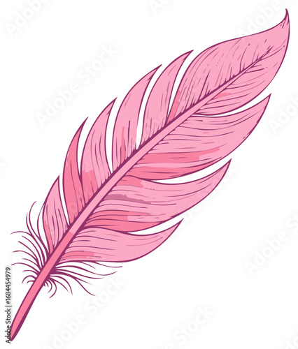 Decorative pink feather illustration delicate elegant design element